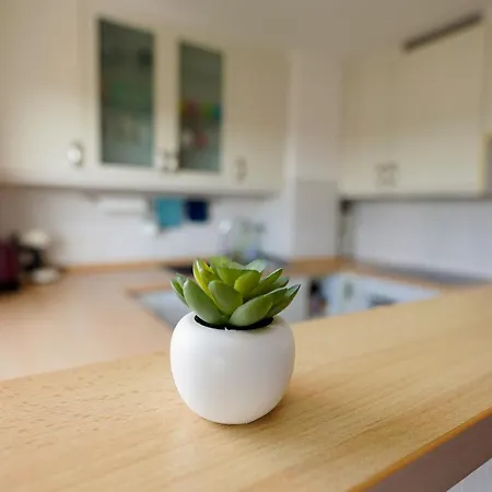 Appartement Tolle Mit Panoramablick Weinheim